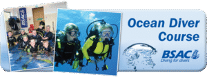 oceandiver