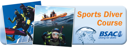 sportsdiver